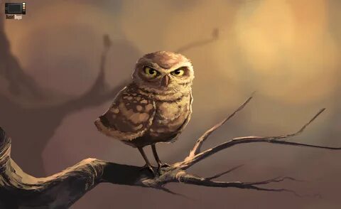 By owl