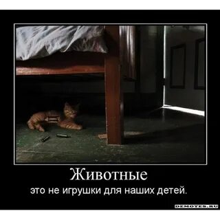 Заведи тогда