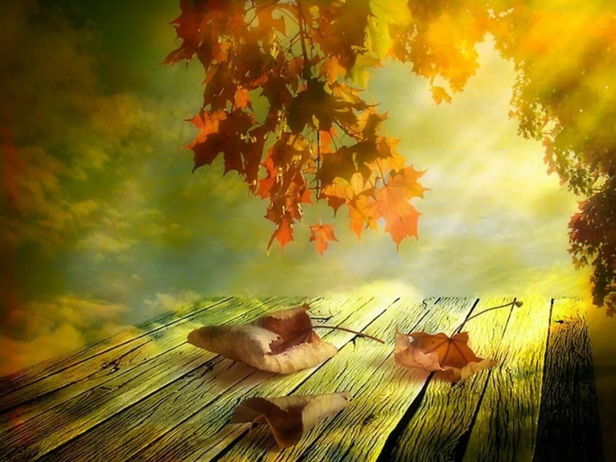 За летом зима пролетели года слова. Осень солнце. Осенняя грусть. Осенний день. Сказочная осень.