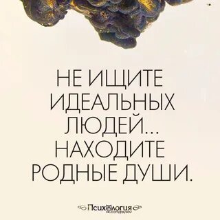 Родные души книга