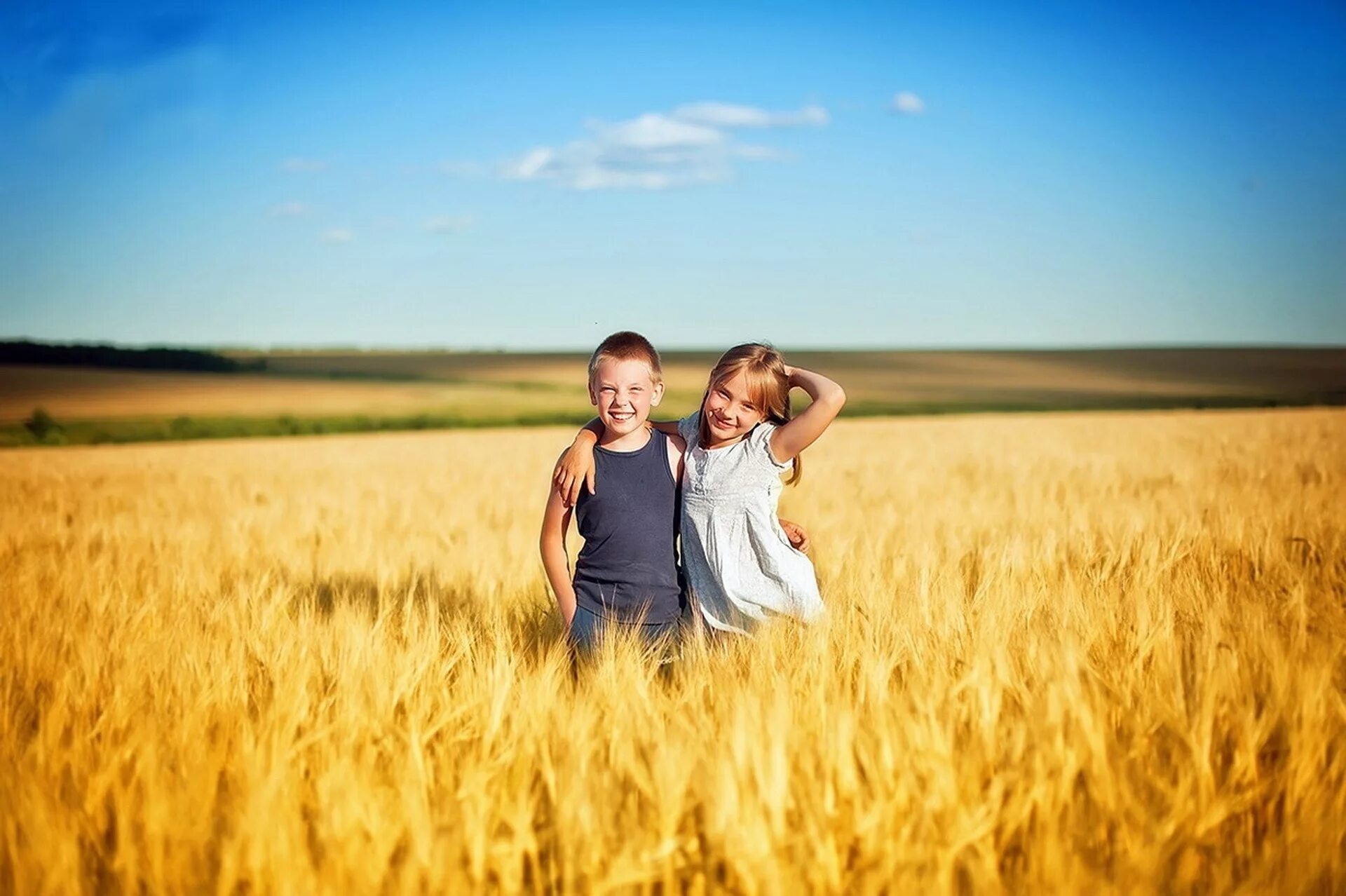 Семья в поле. Фотосессия в поле. Счастливая семья в пшеничном поле. Ребенок в поле пшеницы. Радость без края