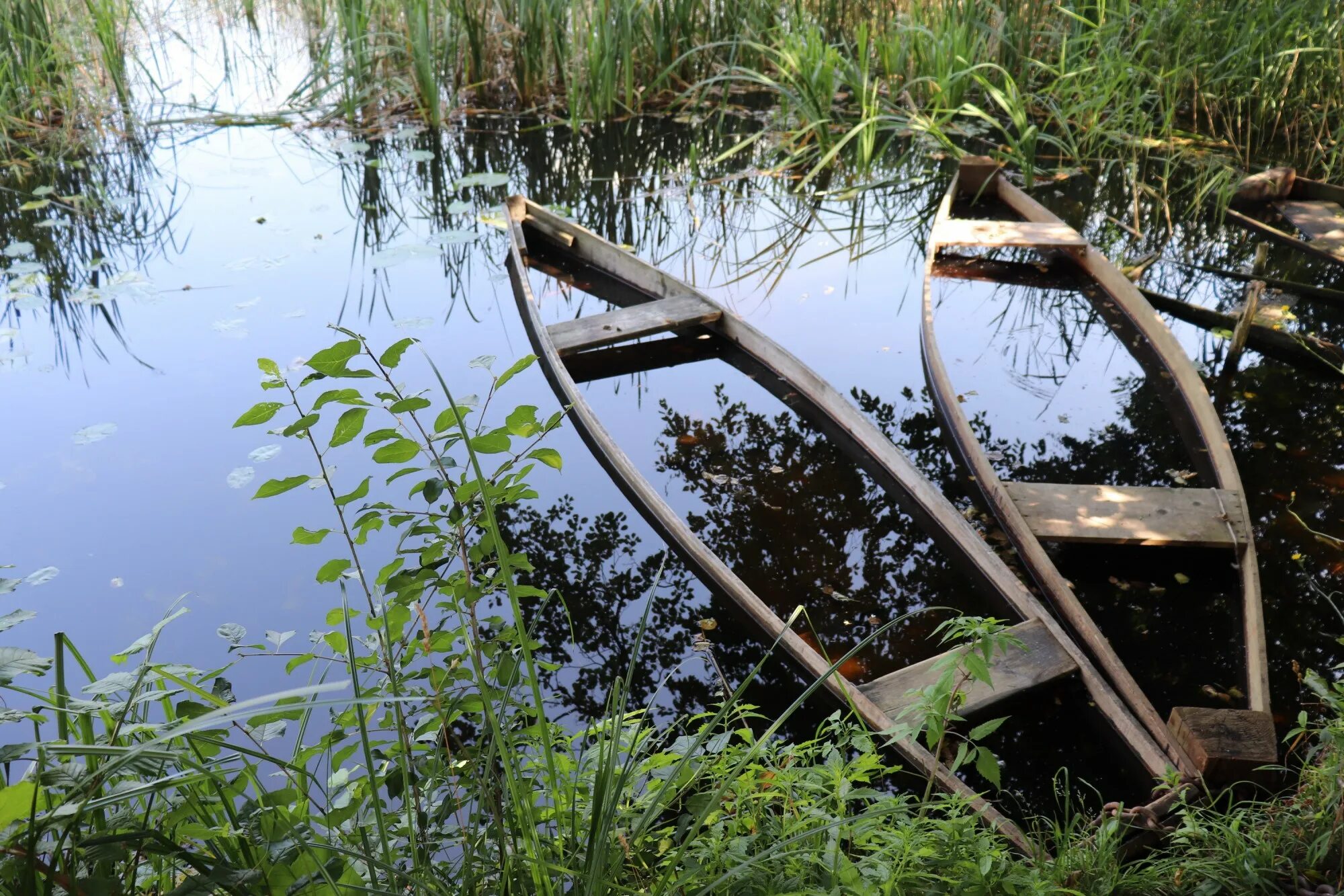 Старая лодка затопленная на берегу пруда. На лодке в половодье. Затонувшая яхта. Ракетный катер тбилиси. Затопление катера.
