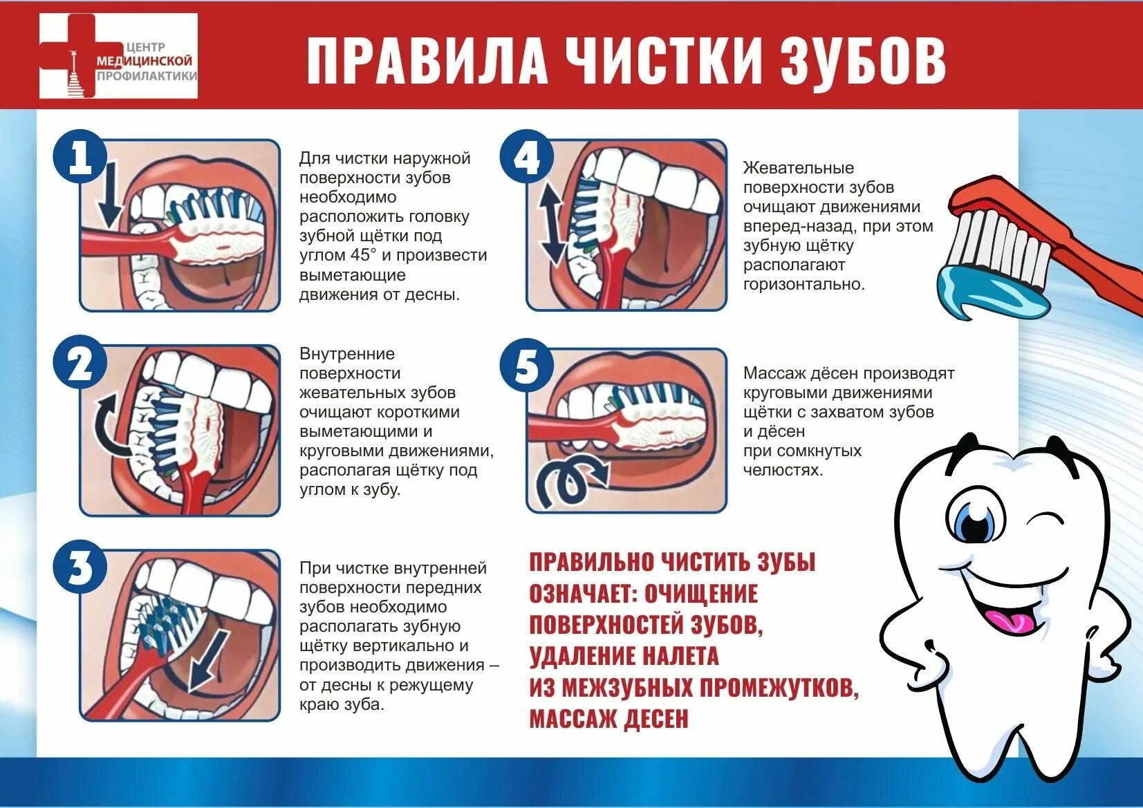 Как чистить зубы - CoffeePapa.ru
