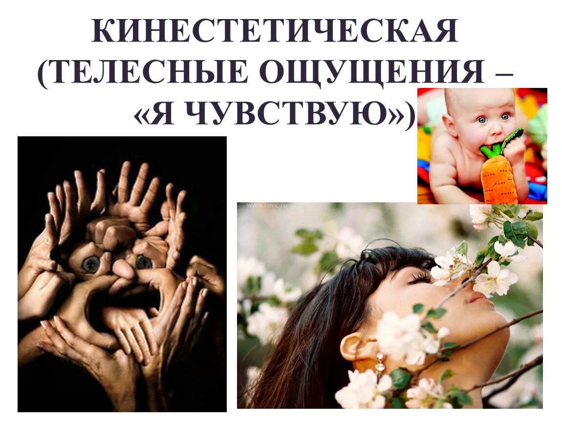 Двигательный интеллект дошкольников. Кинестетический (тактильный или телесный) интеллект. Физическая активность в пожилом возрасте. Гарднер 8 типов интеллекта. Осязательное восприятие это в психологии.