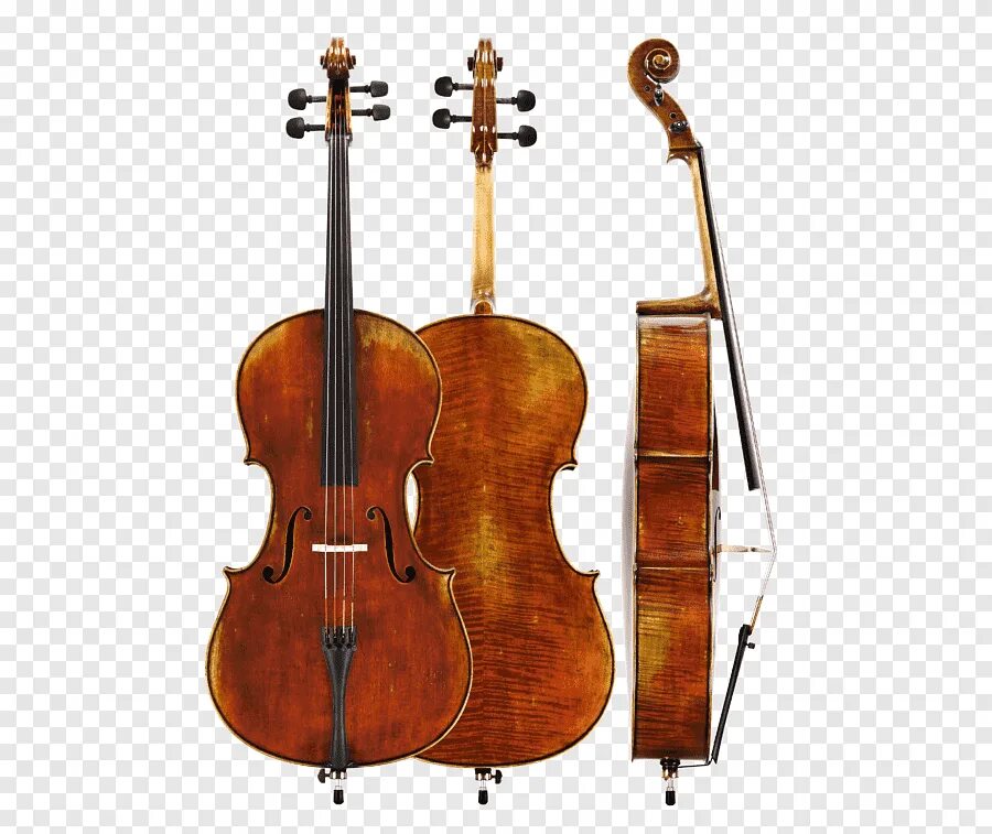 Скрипки николо амати. Виолончель cremona. Виолончель амати. Андреа амати скрипичный мастер. Виолончель амати.