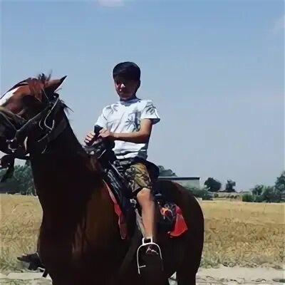 Табары