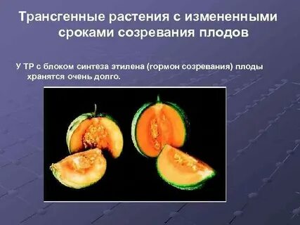 Что такое трансгенные формы организмов
