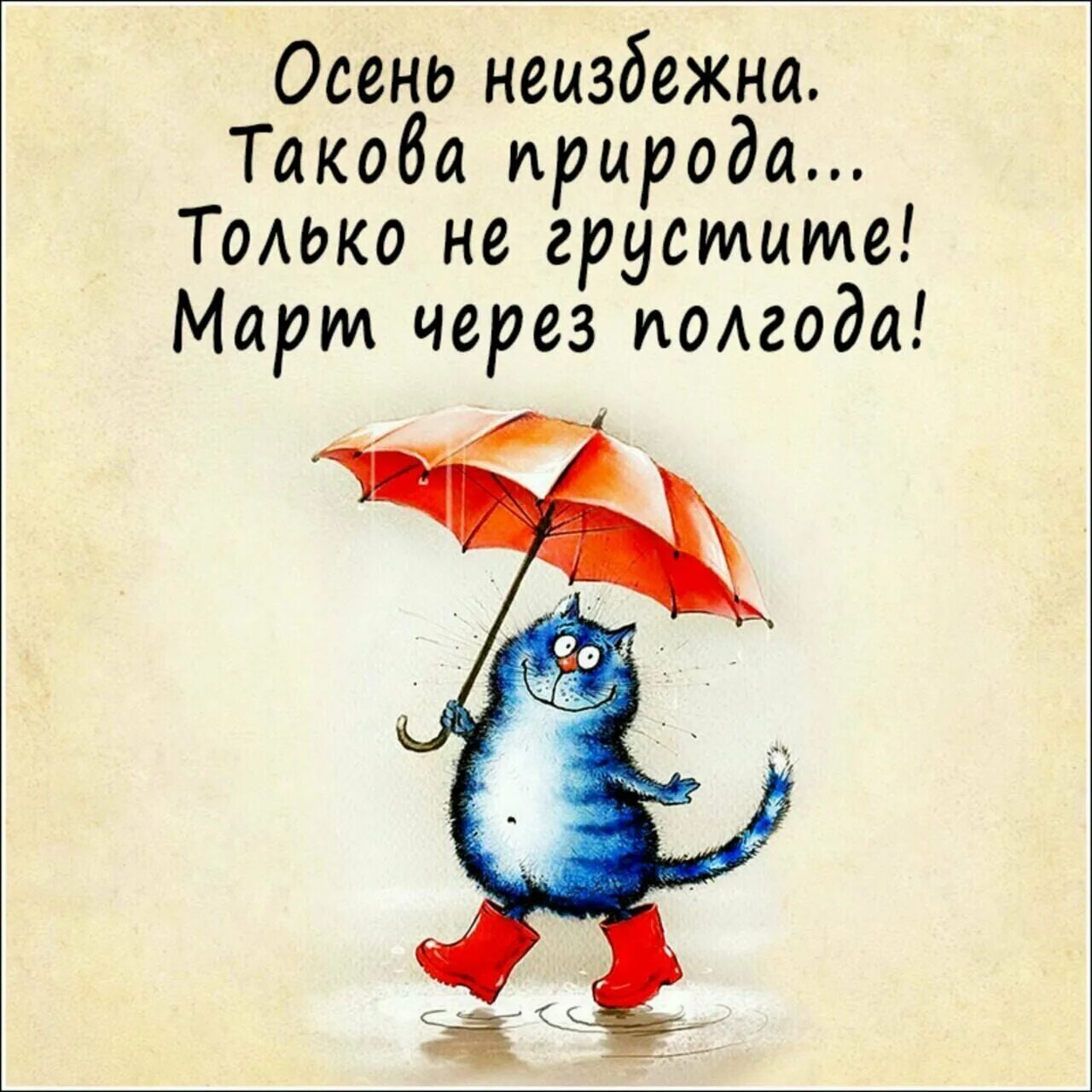 Позитивные открытки. Оптимистичные открытки. Осеннее настроение цитаты прикольные. Осень позитивные высказывания. Невзирая на дождь