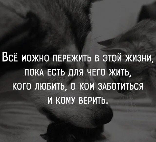 Все не верят что живу. В жизни все можно пережить. Все можно пережить в этой жизни. Картинки пережить можно все. Статус про переживания.