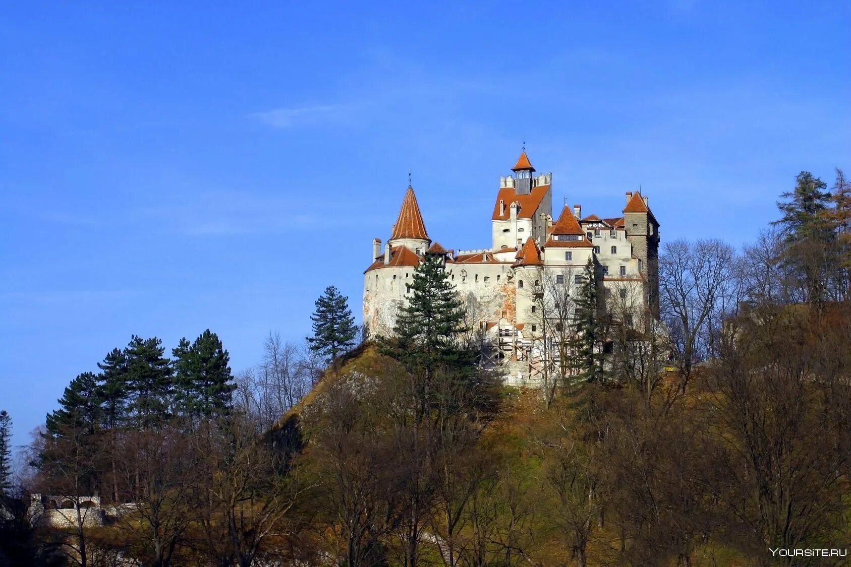 Историческая родина графа дракулы. Замок Дракулы в Румынии. Замок Дракулы в Трансильвании. Замок графа Дракулы в Румынии.