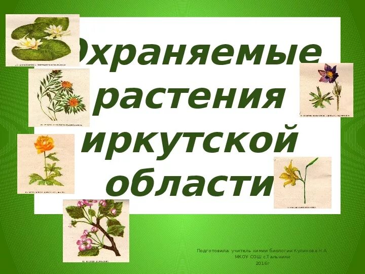 Сад содержащий коллекции охраняемых растений. Сад содержащий коллекции охраняемых растений