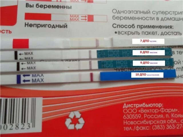 Через сколько тест покажет беременность после овуляции. Тест на беременность через 8 дней после овуляции. тест на беременность через дней после овуляции. тест на беременность через 7 дней после овуляции. тесты на беременность по дням после овуляции.