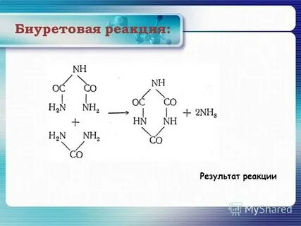 Биуретовая реакция