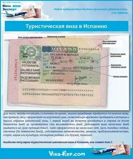 Сроки оформления шенгенской визы
