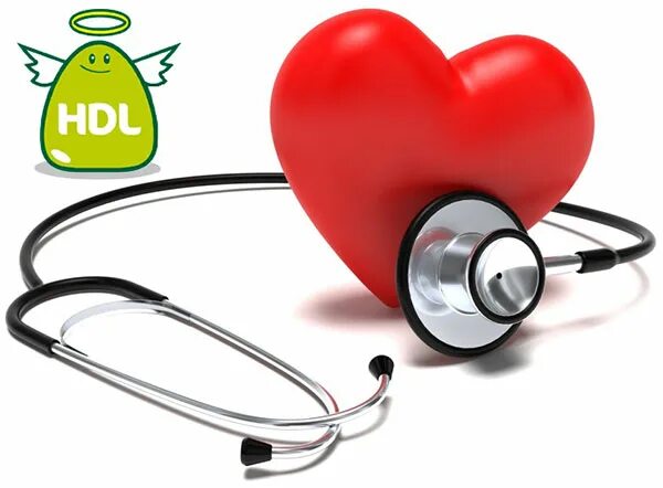 Hdl cholesterol. Hdl cholesterol