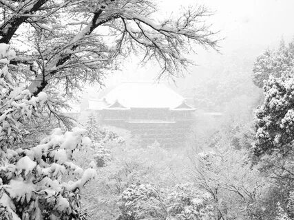 White japan