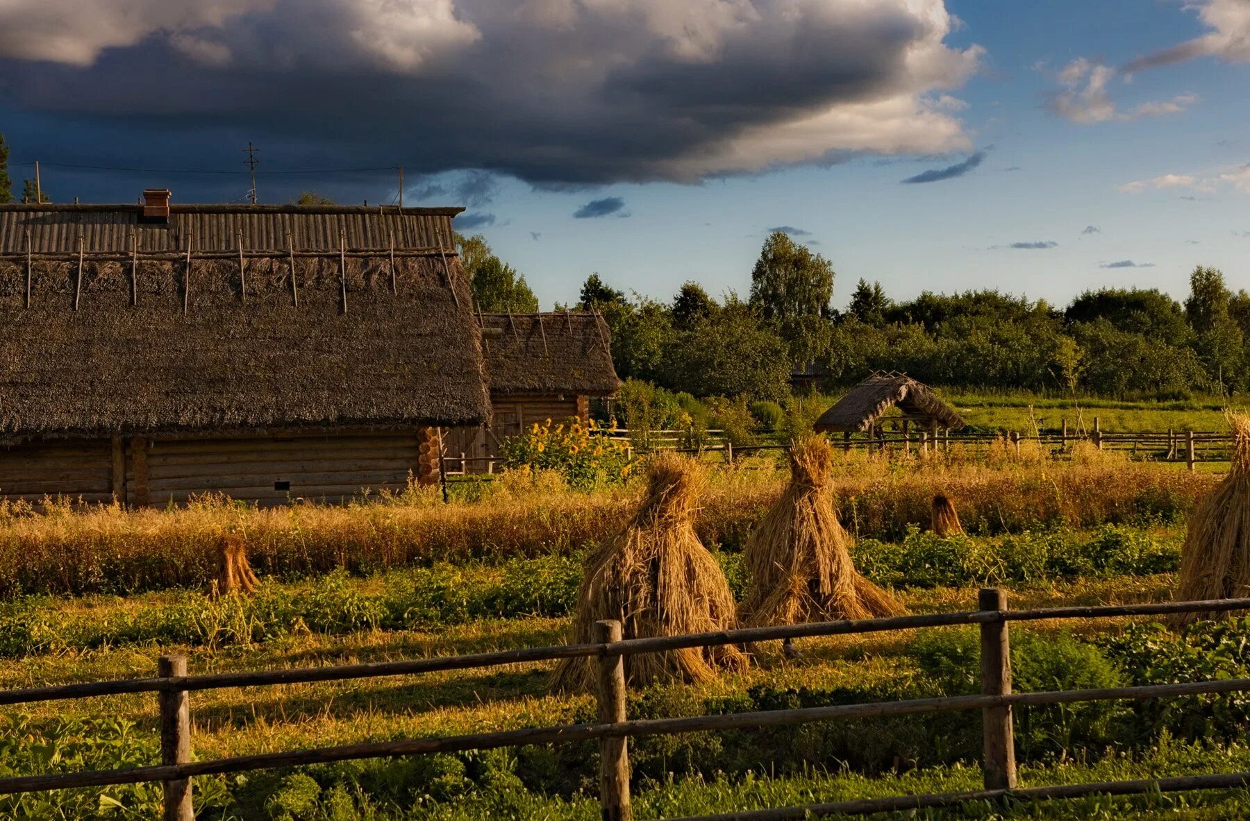 Деревенские мотивы. Деревня красота. Русская деревня.