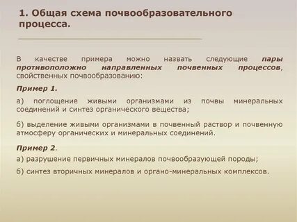 Почвообразовательные процессы почв