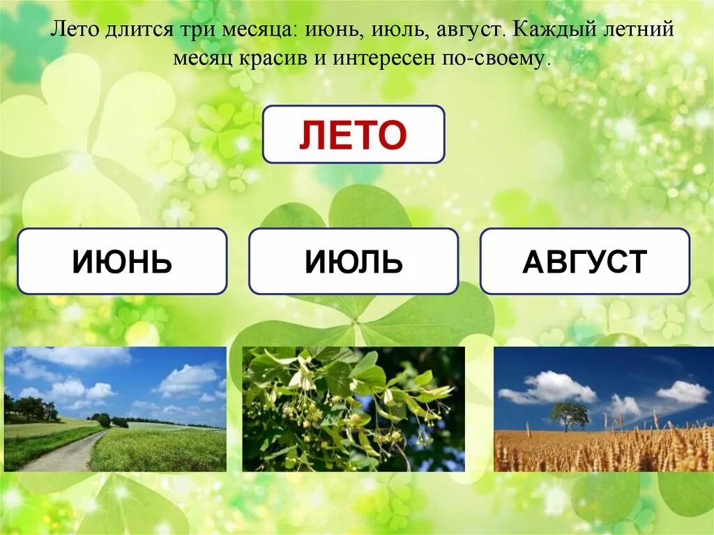 В каком месяце будет лето. Летние месяцы. Летние месяцы для детей. Летние месяцы задания. Летние месяцы карточки для детей.