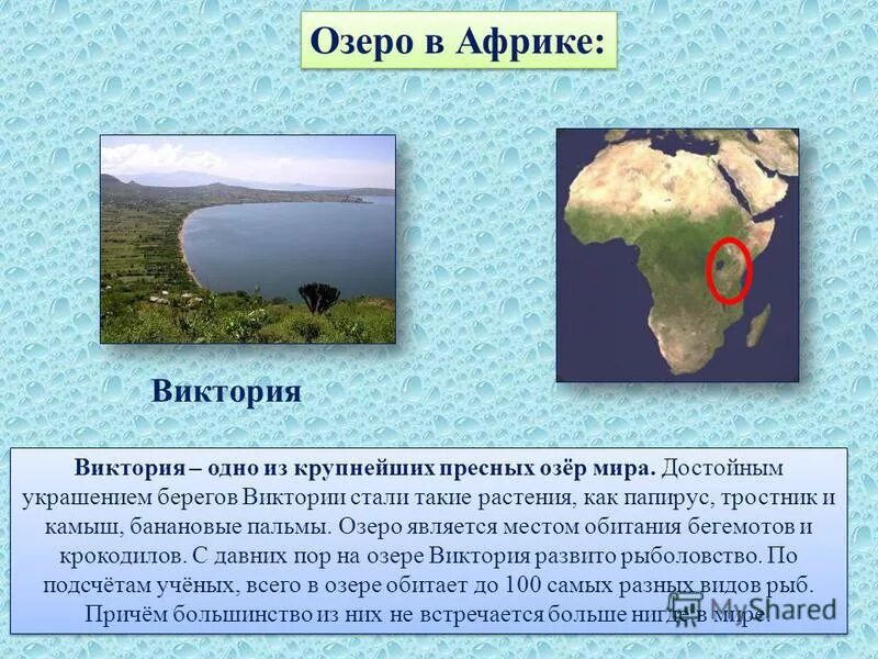 Особенности озер африки