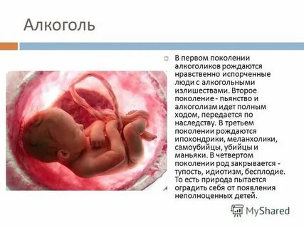 Добрым можно стать или родиться