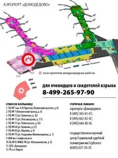 Сколько терминалов в аэропорту домодедово