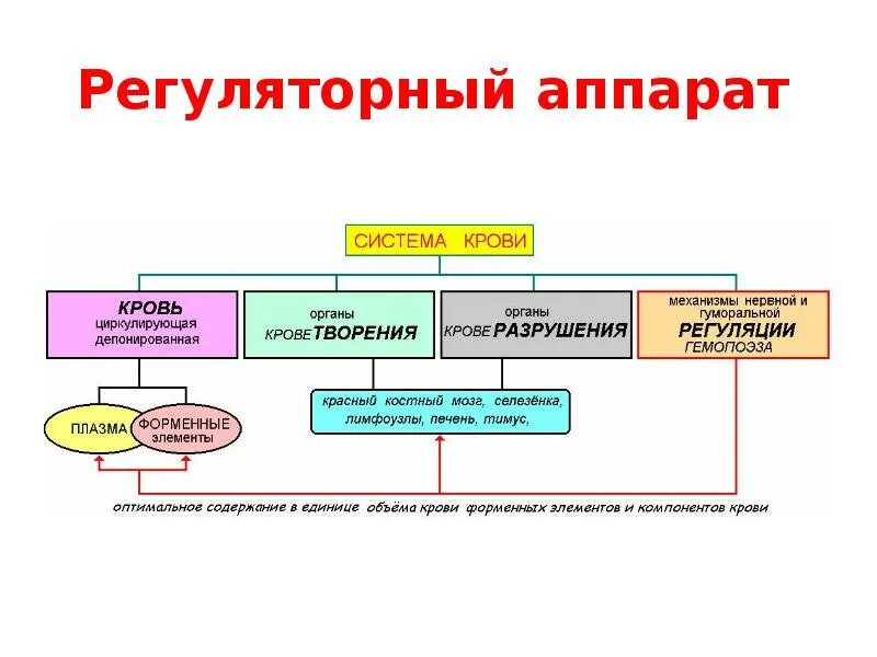 Регуляция компонентов плазмы крови. Регулирующий нейрогуморальный аппарат в системе крови. Регуляция системы крови физиология. Регуляторный аппарат системы крови.