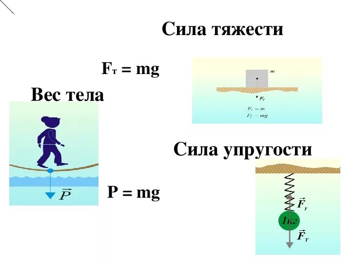 Причины веса тела. Вес тела сила упругости сила тяжести рисунок. Физика 7 класс сила тяжести и вес. Рисунок сила тяжести вес сила упругости. Сила тяжести сила упругости сила трения рисунок.