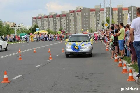 Губкин журавлики