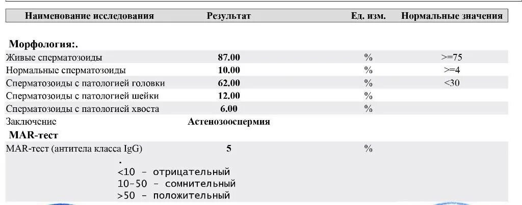 Смарт тест спермограмма. Спермограмма igg тест. расшифровка mar теста спермограммы. mar test спермограмма расшифровка результатов. mar тест расшифровка результатов таблица.