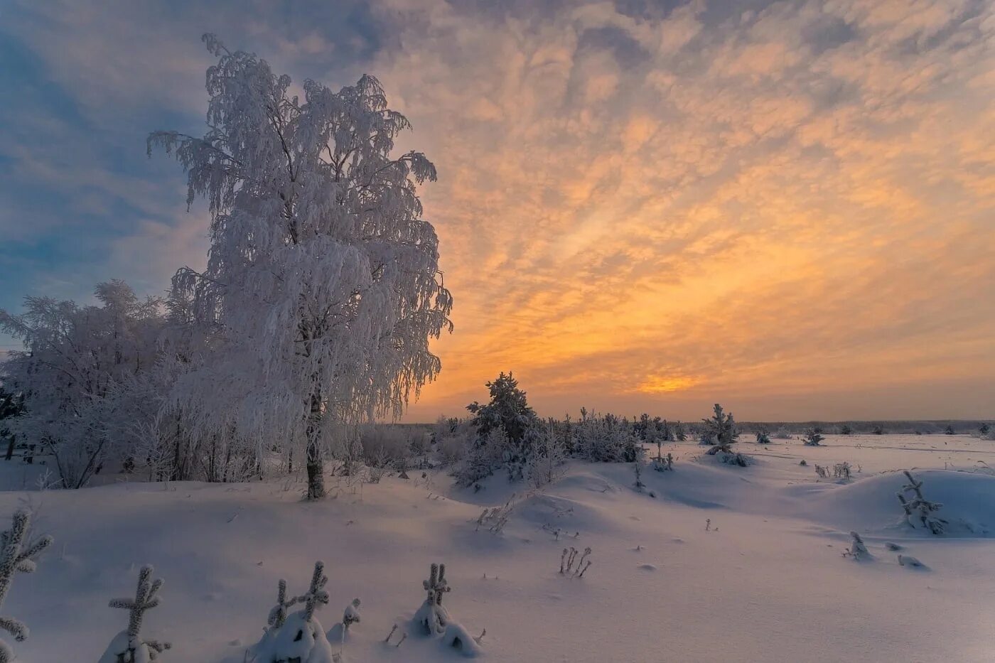 Зима в Печоре Республика Коми. Природа Печора Коми зима. Печора Республика Коми зимой. Коми природа Сыктывкар.