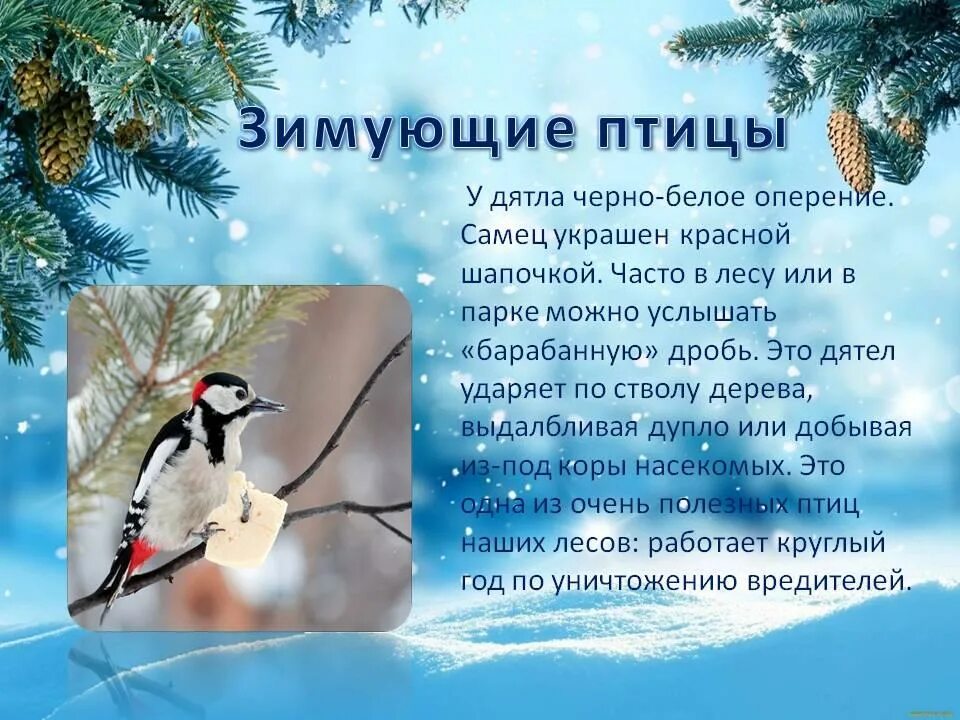 Физминутка на тему птицы. Стих про птичку. Физминутка птицы для дошкольников. Физминутки о птицах для дошкольников. Синица физкультминутка.