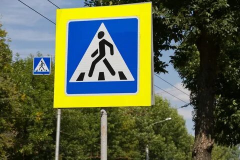 Автобус пешеходный переход