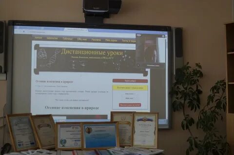 Цдо спт