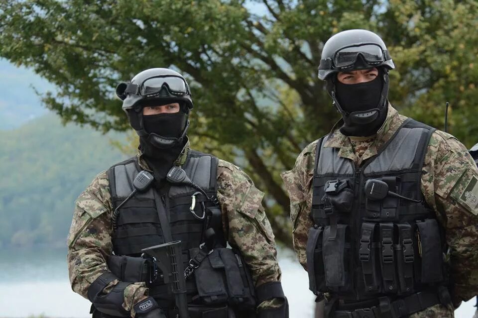 Спецназ скиф. 2 спецназовца. Собр альфа спецназ. Два спецназа. Специальный отряд быстрого реагирования собр.