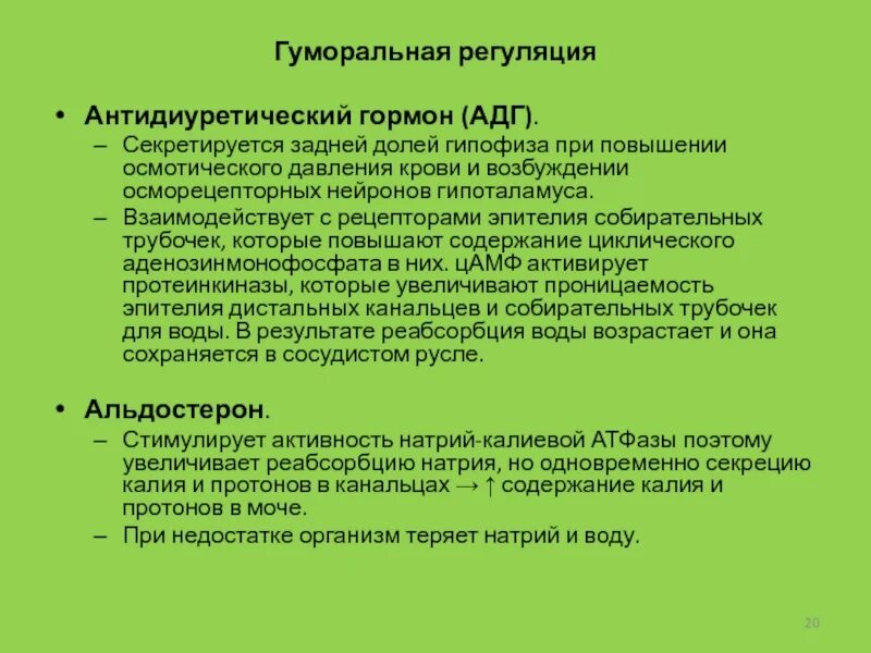 Антидиуретический гормон гипофиза. Антидиуретический гормон задней доли гипофиза. Где секретируется антидиуретический гормон. АДГ гормон. Нарушение секреции антидиуретического гормона.