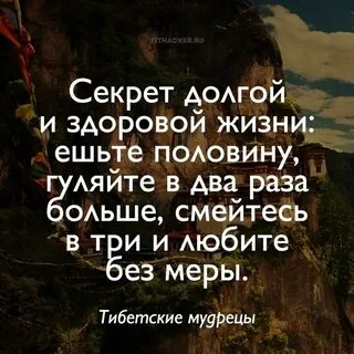 Что есть жизнь цитаты