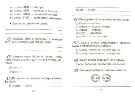 Программа дополнительных занятий по русскому языку