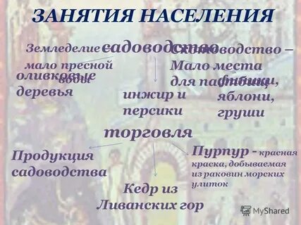Основные занятия жителей колонии