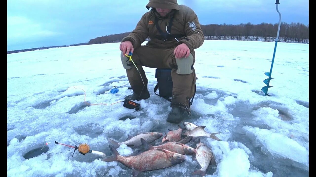 Зимняя рыбалка 2021. Зимняя рыбалка на Оке. Рыбалка на Оке зимой. Рыбалка в январе. Рыбалка 62 рязань