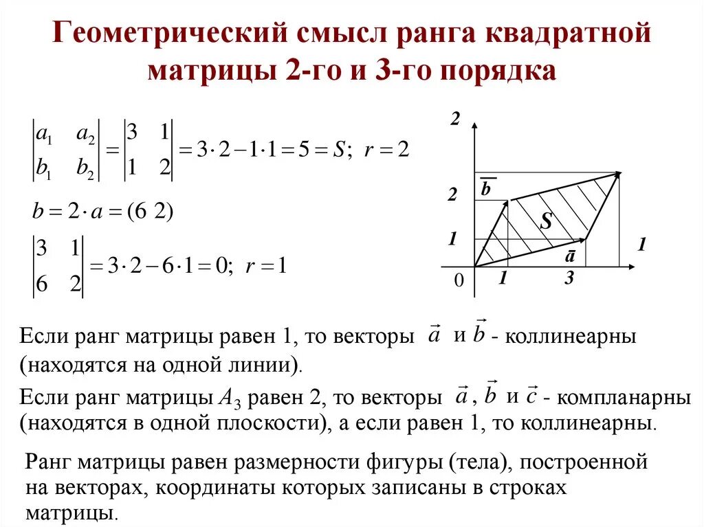 Геометрический смысл произведений. Геометрическая интерпретация определителя матрицы. Определитель матрицы 3 порядка геометрический смысл. Геометрический смысл определителя 3-го порядка.. Геометрический смысл определителя матрицы 2 на 2.