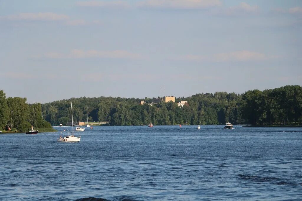 Клязьминское водохранилище пироговский пляж. Пироговское водохранилище бухта радости. Клязьма пансионат поведники. Клязьминский парк коттеджный поселок. Пляж хлебниково на клязьминском водохранилище.