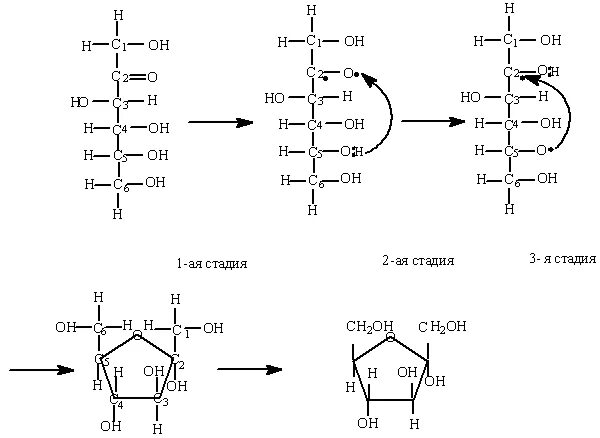 Образование циклической формы фруктозы. Циклическая форма Глюкозы и фруктозы. Альфа фруктоза циклическая формула. Фруктоза циклическая и Ациклическая форма.