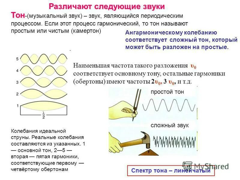 Музыкальные звуки тон