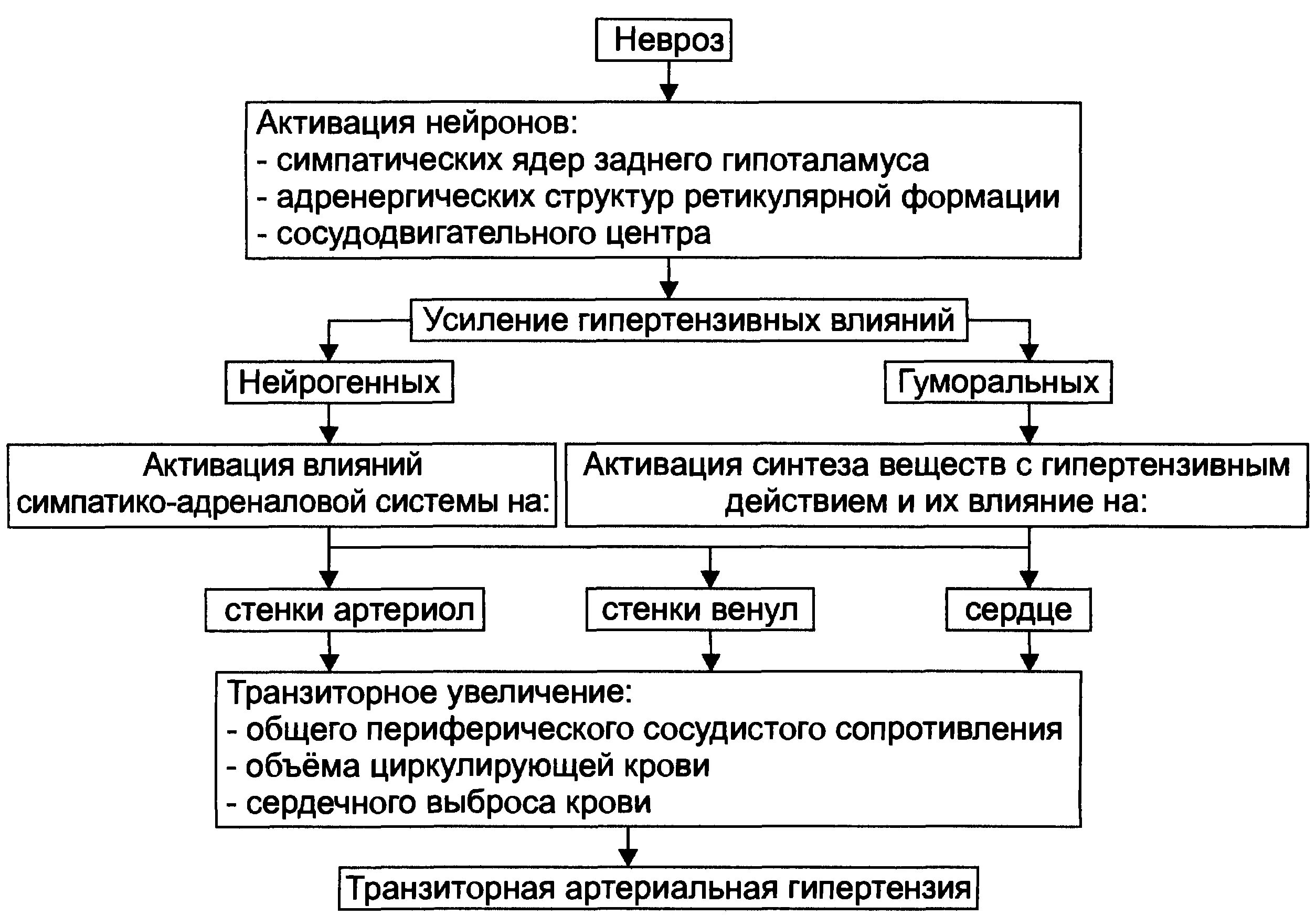 Развитие гипертензии. Общий патогенез гипертонической болезни. этиология первичной артериальной гипертензии. патогенетические механизмы гипертонической болезни. нейрогенный механизм гипертонической болезни.