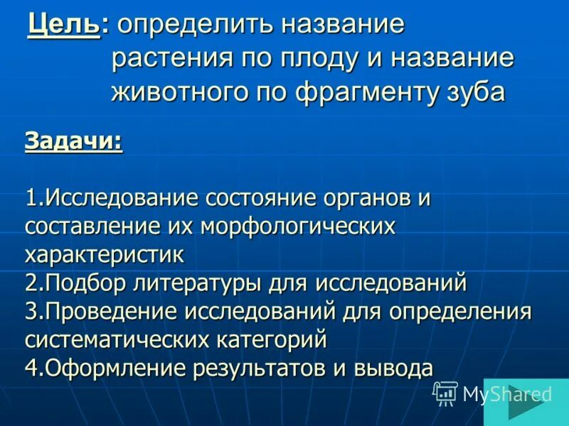 Чистыми линиями называют организмы