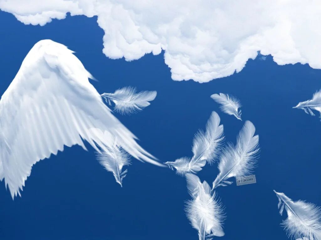 Мир над головой. Крылья в небе. Ангел в небе. Ангелы летают. Небесное крыло.