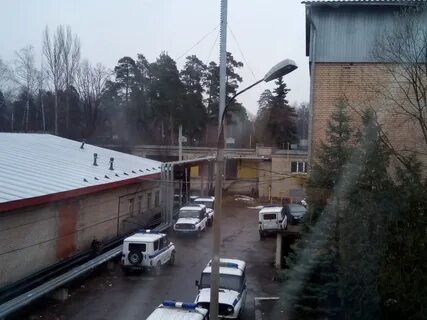 Пушкино оранжерейная