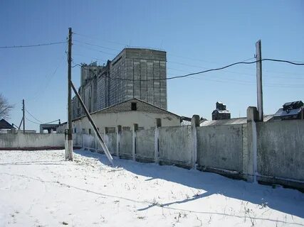 Тиря