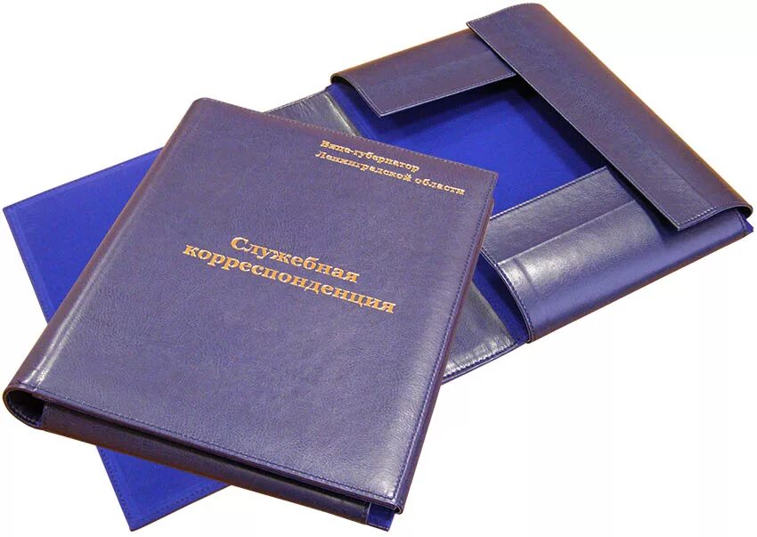 Документ под заказ. Папка на подпись руководителю. Папка для документов на подпись руководителю. Папка для руководителя с клапанами. Папка с клапаном.